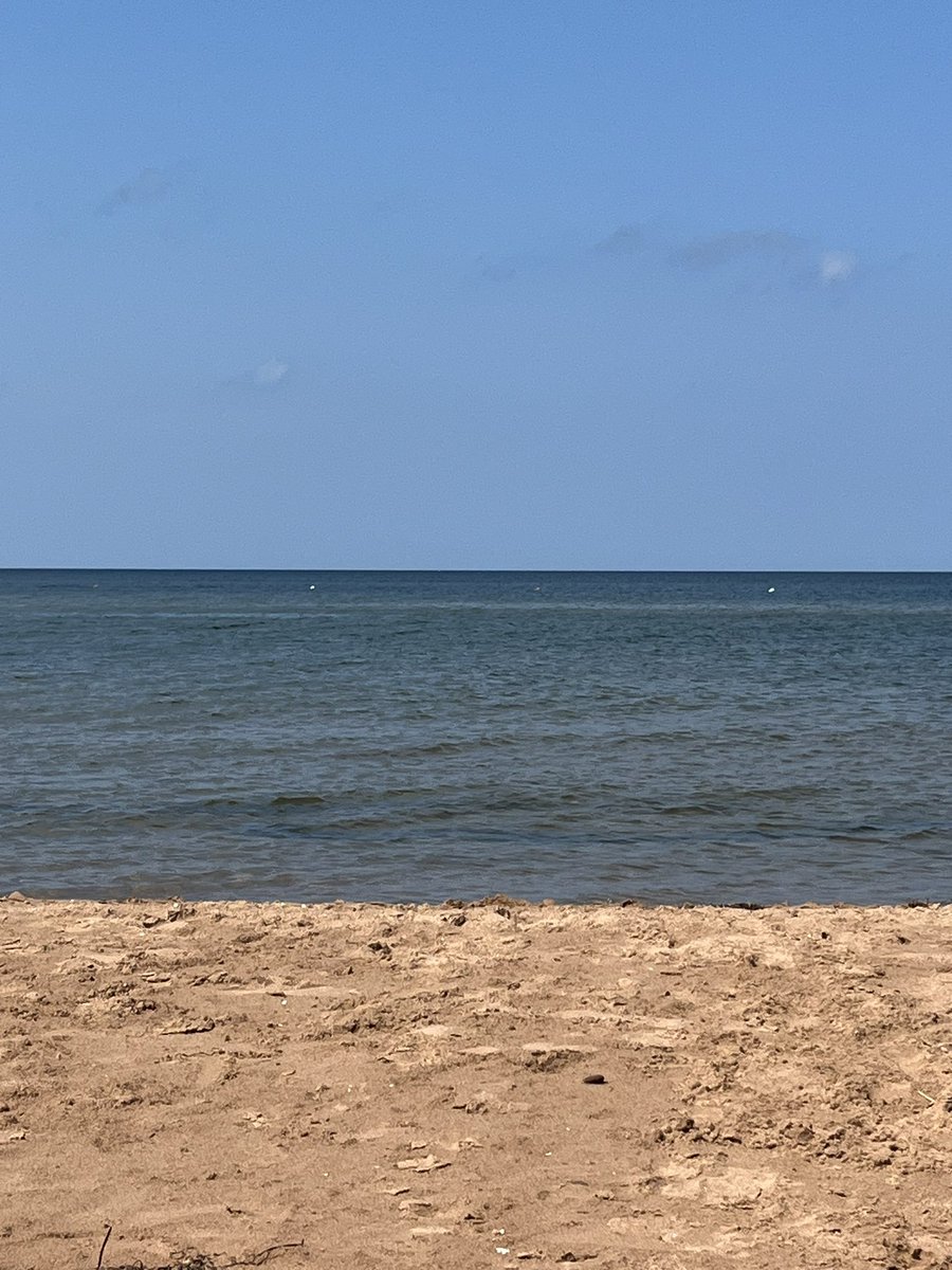 Nick Frid tweet media