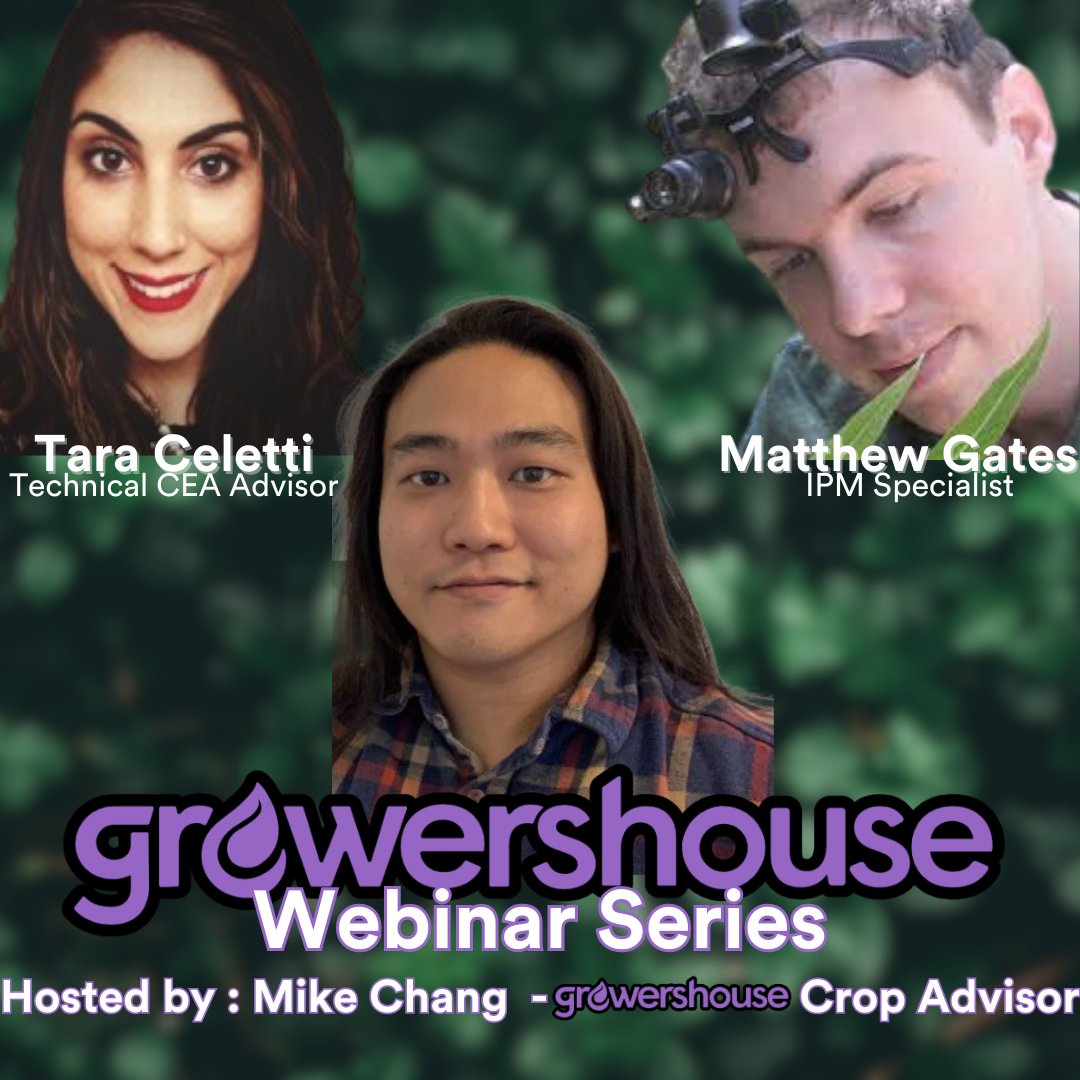 Exciting News! Join us for a captivating webinar featuring Mike Chang from GrowersHouse and CannaCribs Consultants with our friends Matthew Gates and Tara Celetti.
bigmarker.com/growershouse/B…