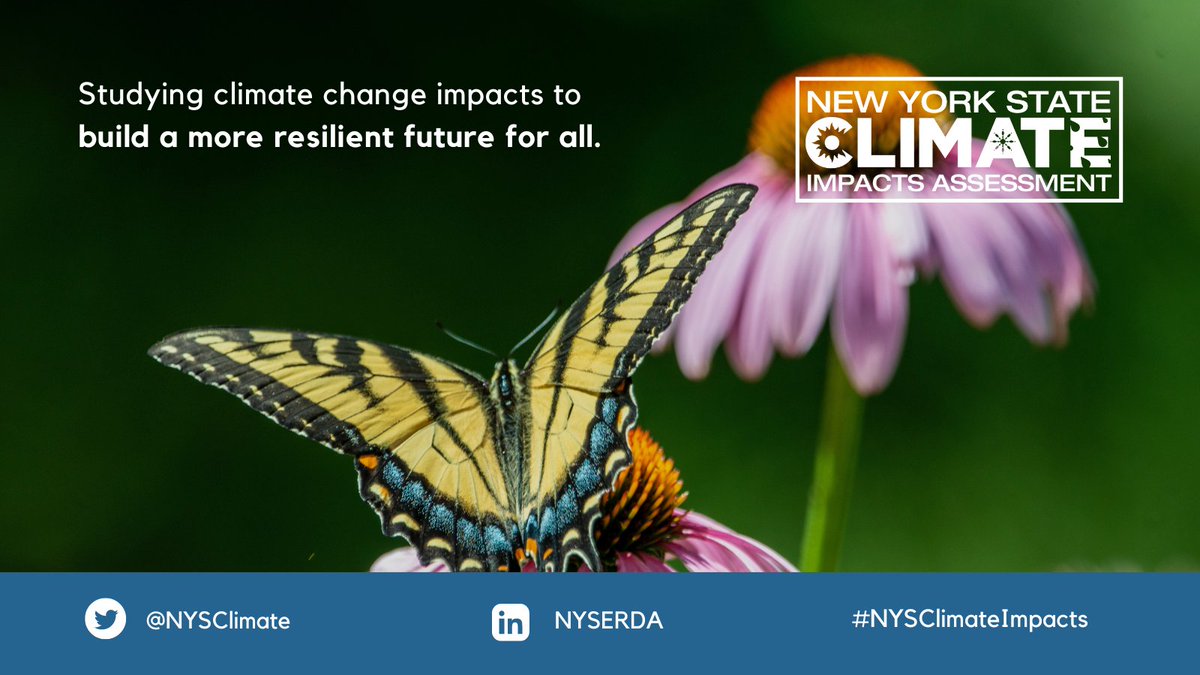 The #NYSClimateImpacts assessment will provide a thorough evaluation of #ClimateChange impacts all across New York State. Learn more about the assessment's areas of focus and hear what the experts have to say about key issues facing #NYS: bit.ly/346xUOf