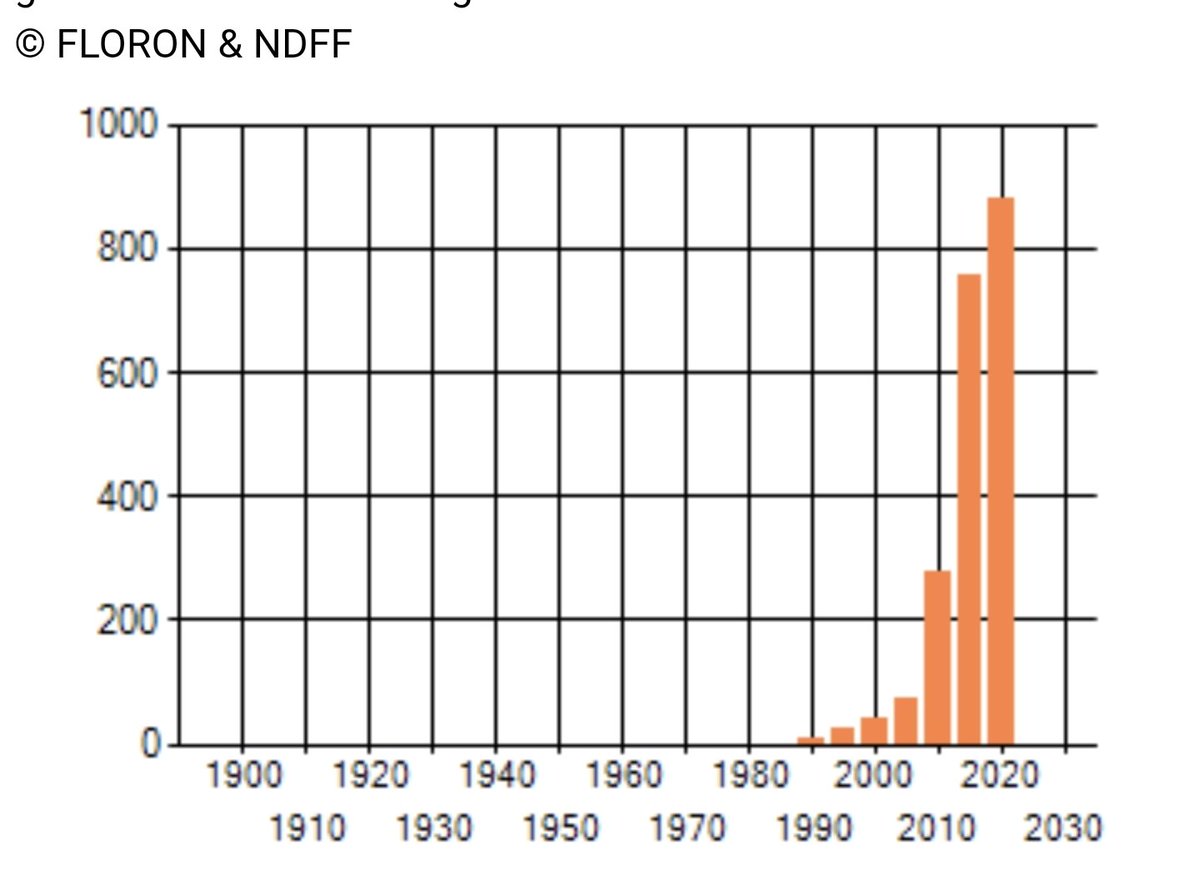 Dijkviltbraam is een invasieve exoot die vooral in stedelijk gebied sterk is toegenomen en alles overwoekert. In 1990 kwam deze braam bijna nergens voor, nu bijna overal in West-Nederland. Bron: verspreidingsatlas.nl/5286 Beeld: NDFF &amp; Peter Venema