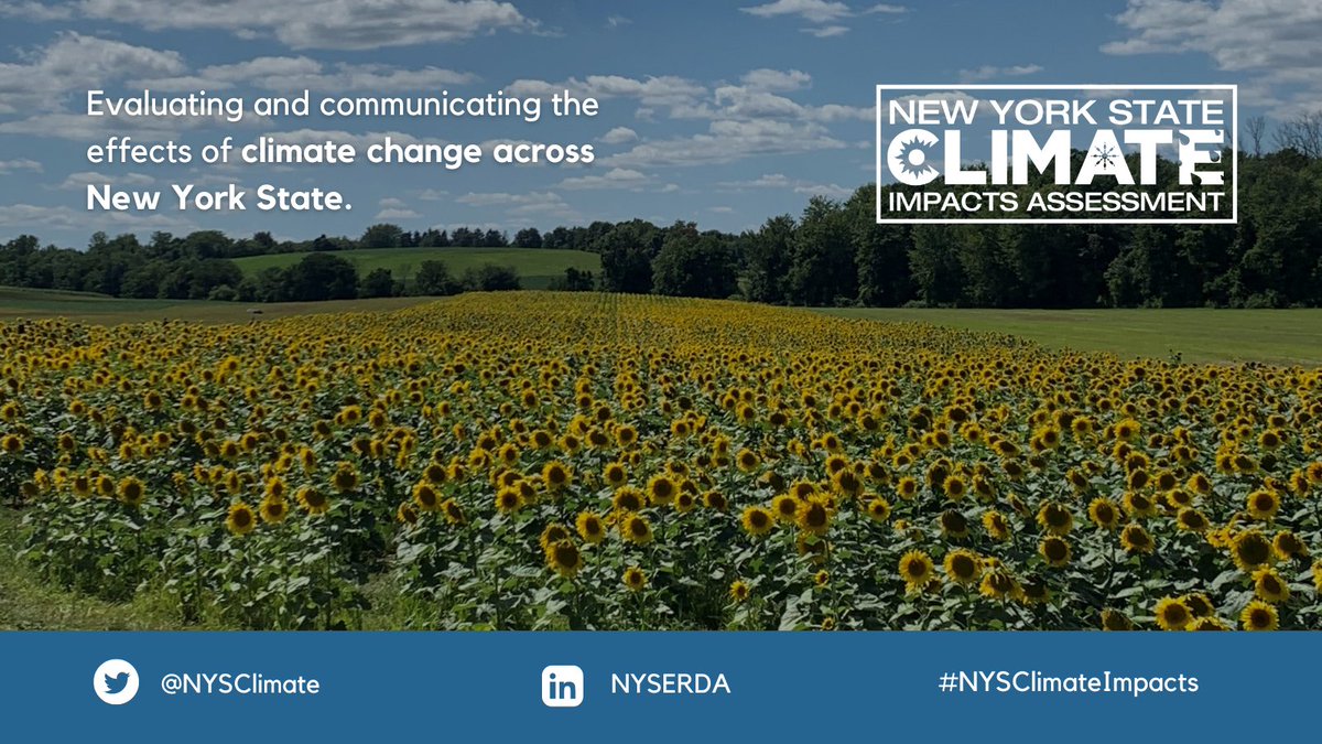 The #NYSClimateImpacts assessment team is studying how #ClimateChange will affect our health, environment, economy, and more in #NewYorkState. Visit our website or subscribe for updates on the assessment: bit.ly/3HncJ9d