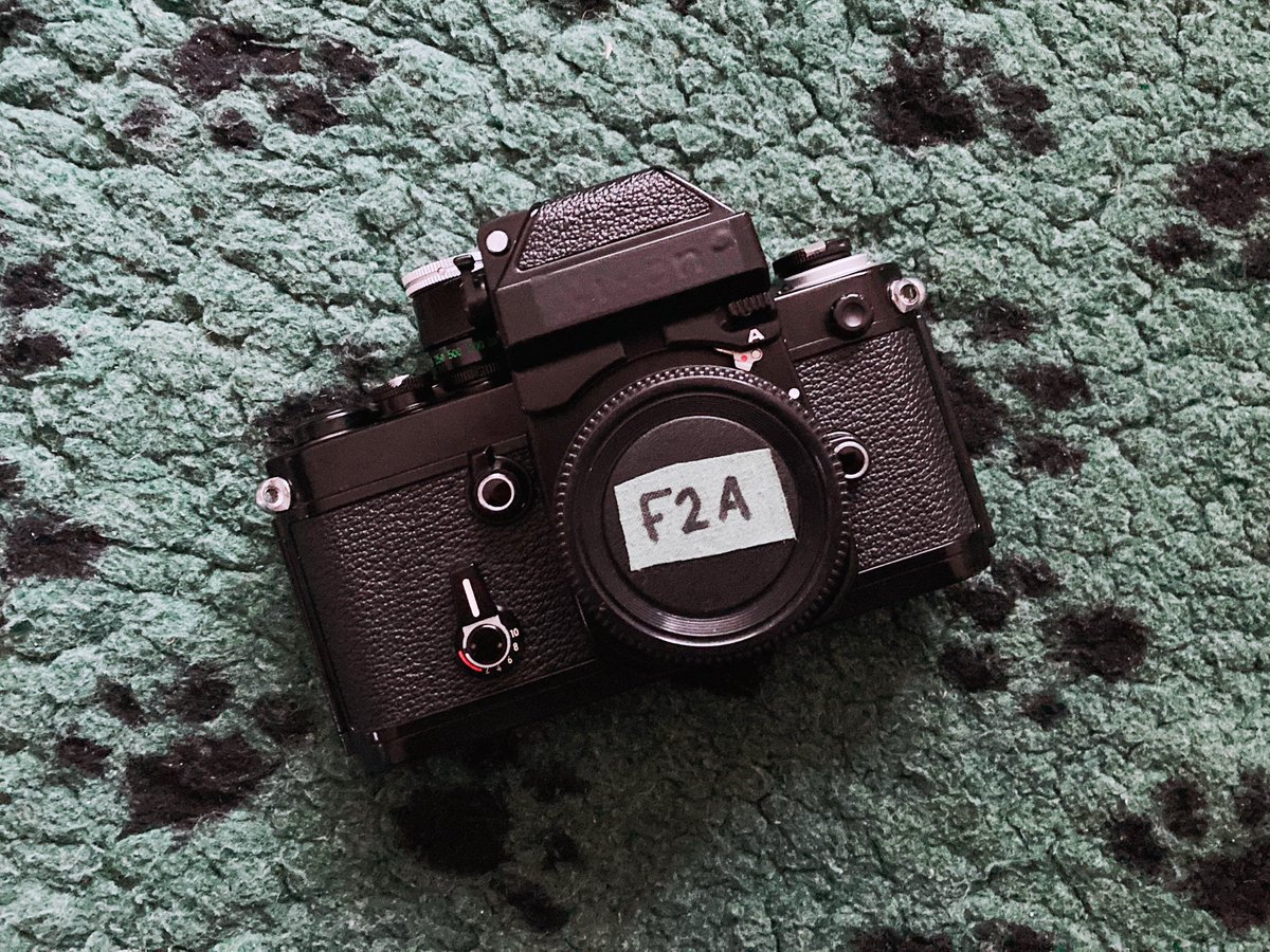 I couldn’t resist 😬