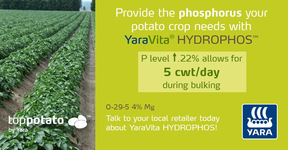 TopPotato Yara Canada tweet media