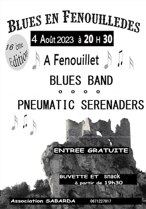 PyreneesPrime's tweet image. #music #fete #blues #weekend