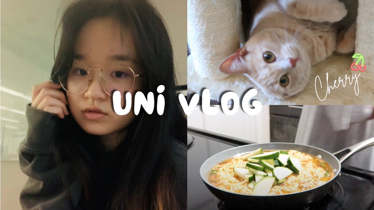 _wen1i_'s tweet image. UNI VLOG | grocery shopping, cooking, etc.  

Another week of the summer semester on campus, did a lot of shopping. Meet Cherry 🐱
youtube.com/watch?v=ysPzUy…
#vlog #univlog #Cooking #cats