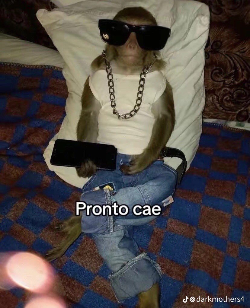 yo después de meter a un loco en close friends