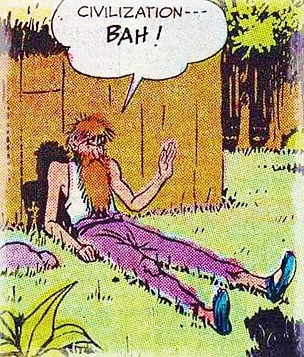 The Museum of Curiosities (@curiosmuseum) on Twitter photo 