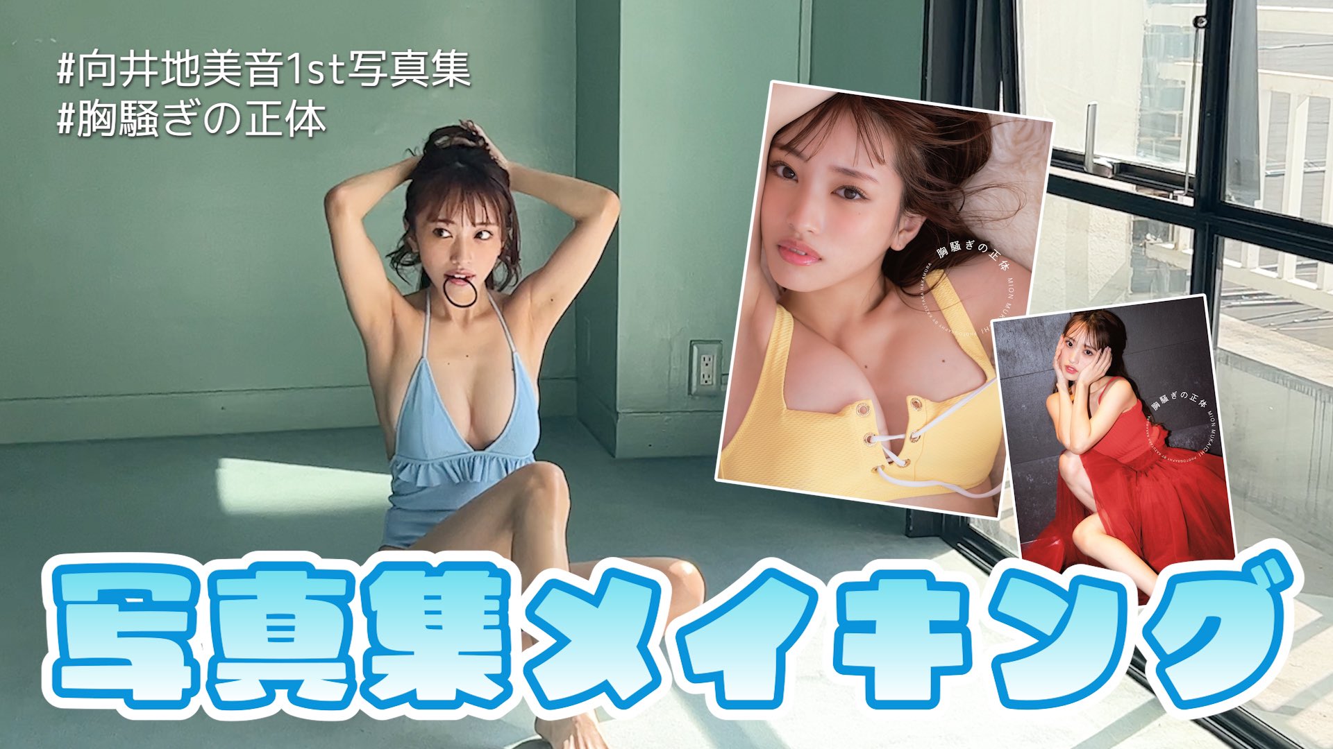 向井地美音 特典まとめ 40点 バラ可 向井地美音 特典まとめ 40点 向井地美音 特典まとめ 40点 バラ可 向井地美音 特典まとめ 40点