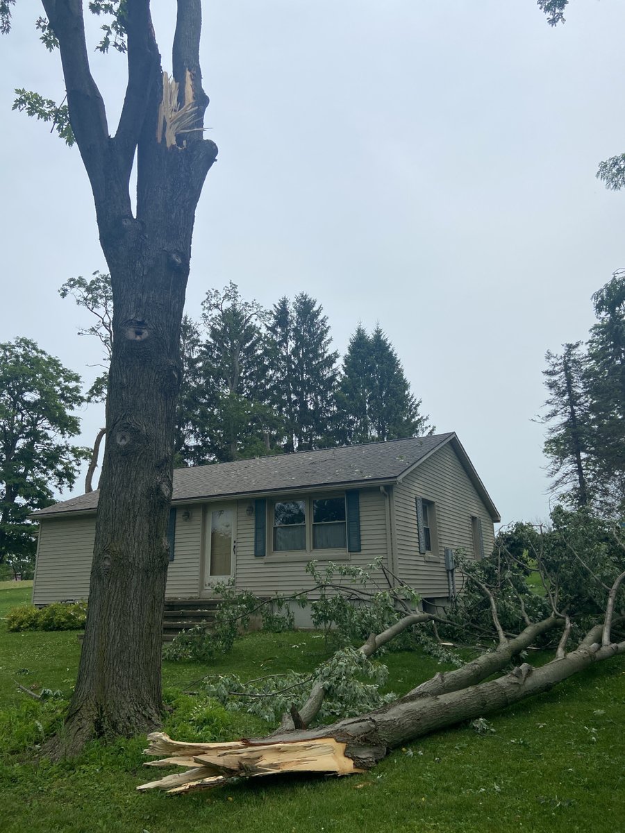 There were 2 storm surveys conducted yesterday, for the severe storms that went through the area on Monday July 25th.  See weather.gov/bgm/pastSevere… for the results of both. In the case of Cayuga Co #nywx, the NWS survey confirmed a microburst of 70-80 mph winds.