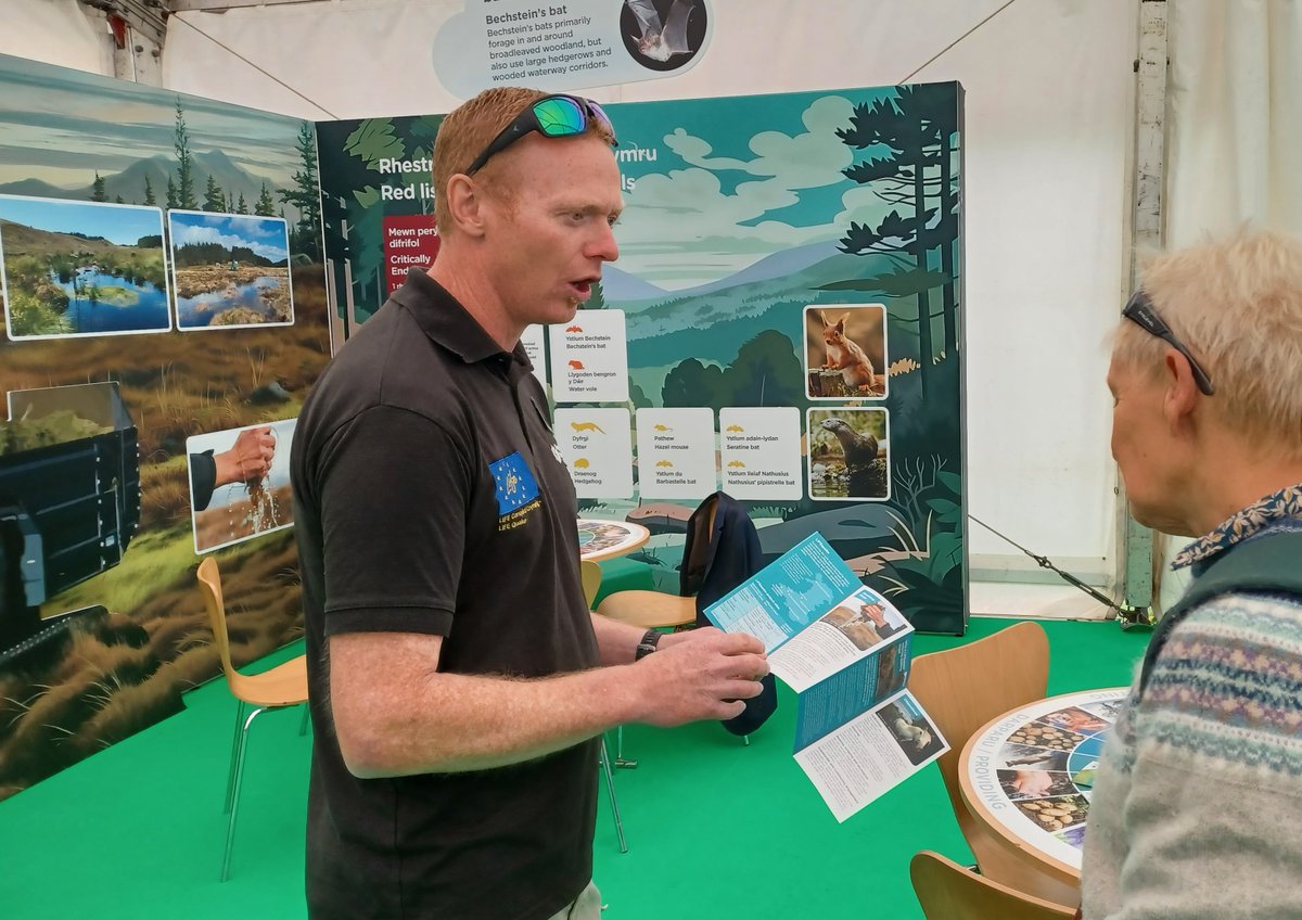 Happy days @royalwelshshow given opportunity to present @NatResWales stand and extensive interest in peatland restoration.
Mannon Lewis shared exciting outlook for upscaling peatland restoration, visits by @WGRural & @futuregencymru, Gareth explaining @LifeQuakingBogs, and...