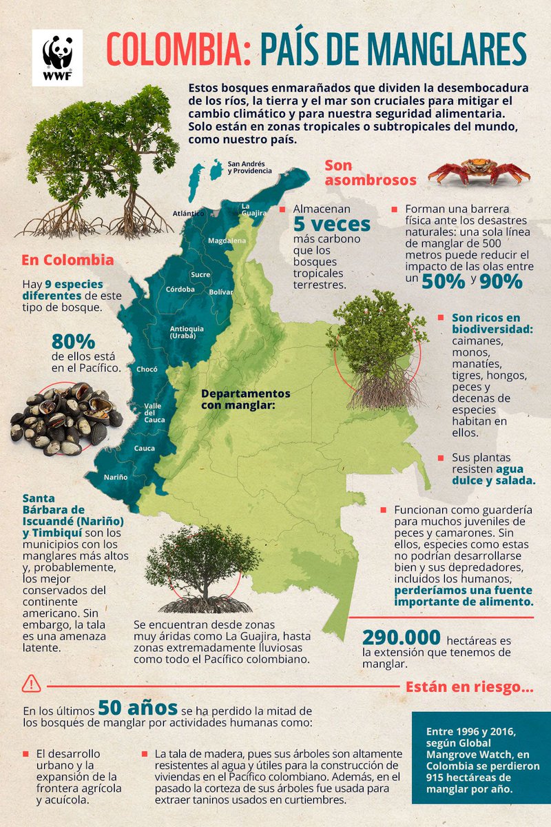 Colombia: País de #Manglares 🍃