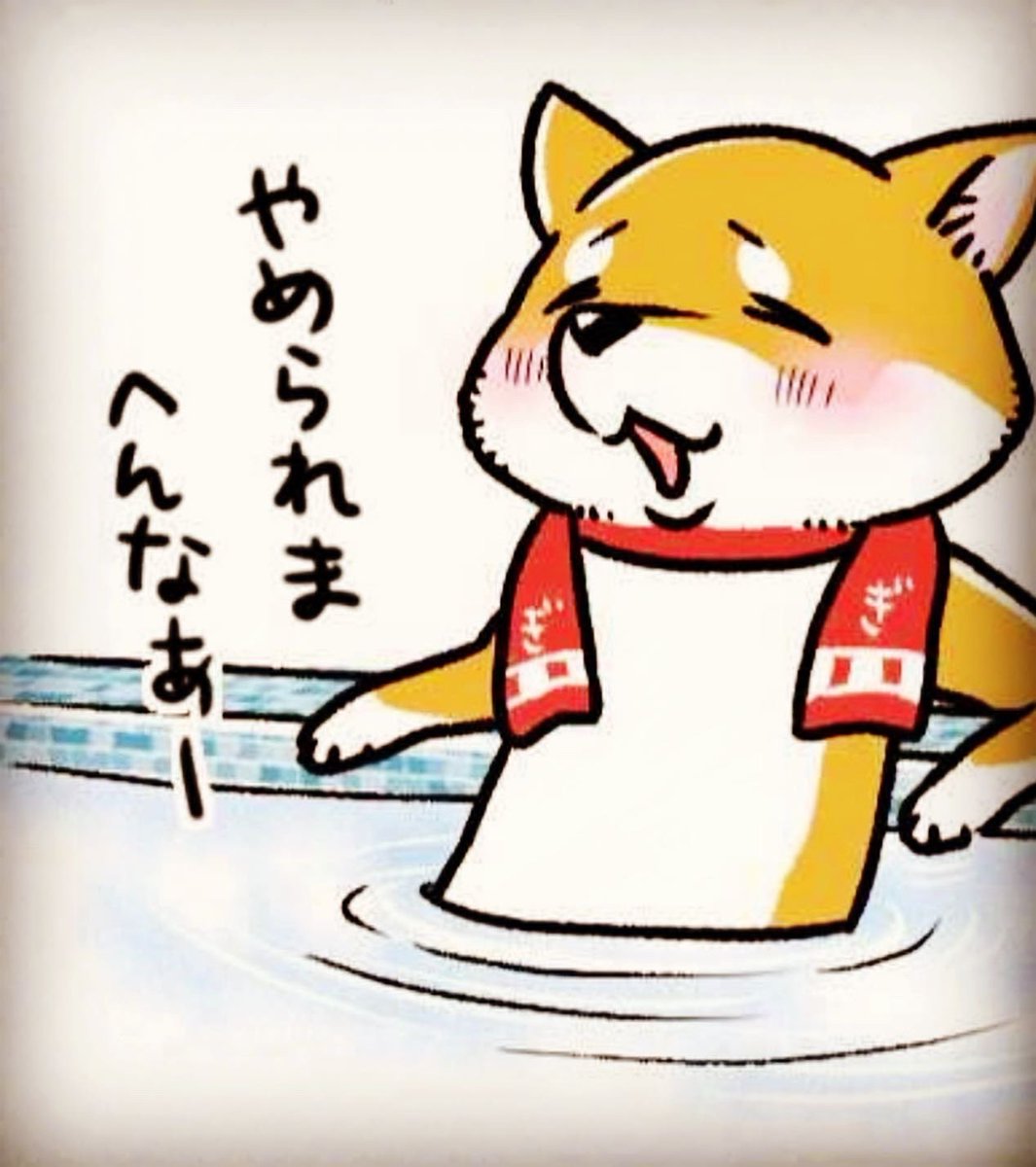 グミと銀次郎とアトム

#グミ王子
#柴犬銀次郎
#ビーグルのアトム
#風呂の日
#真希ナルセ 