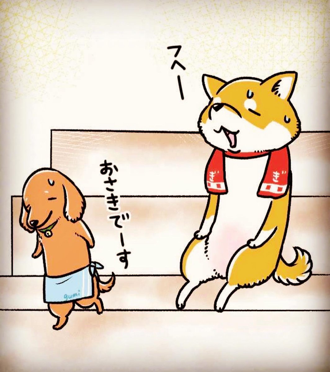 グミと銀次郎とアトム

#グミ王子
#柴犬銀次郎
#ビーグルのアトム
#風呂の日
#真希ナルセ 