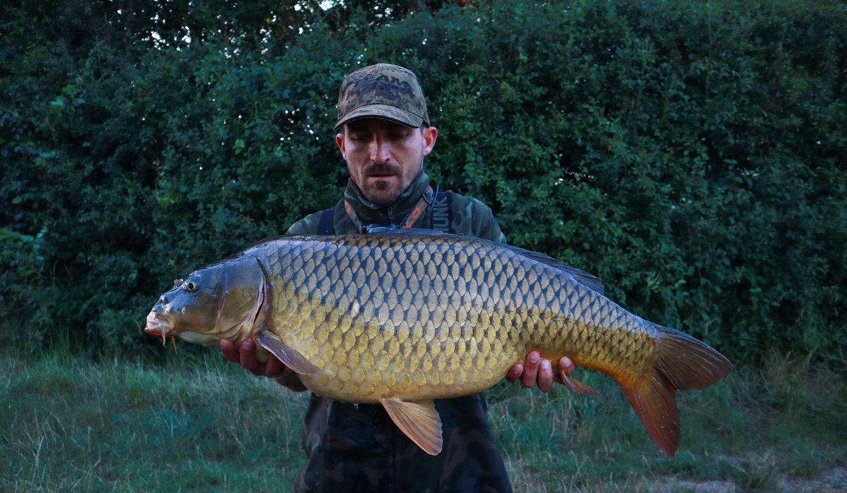 HindersFishing's tweet photo. Two weeks ago I was in France for 3 nights, i have caught some nice fish. I fished over a few jars of the Hinders Hemp and Maize, the simplest fishing I have ever done, fake corn as hook bait in one morning I had 5 fish in slings only using one rod.
Lapadat Eugen

#hemp #hinders https://t.co/TvS9yvyu3P