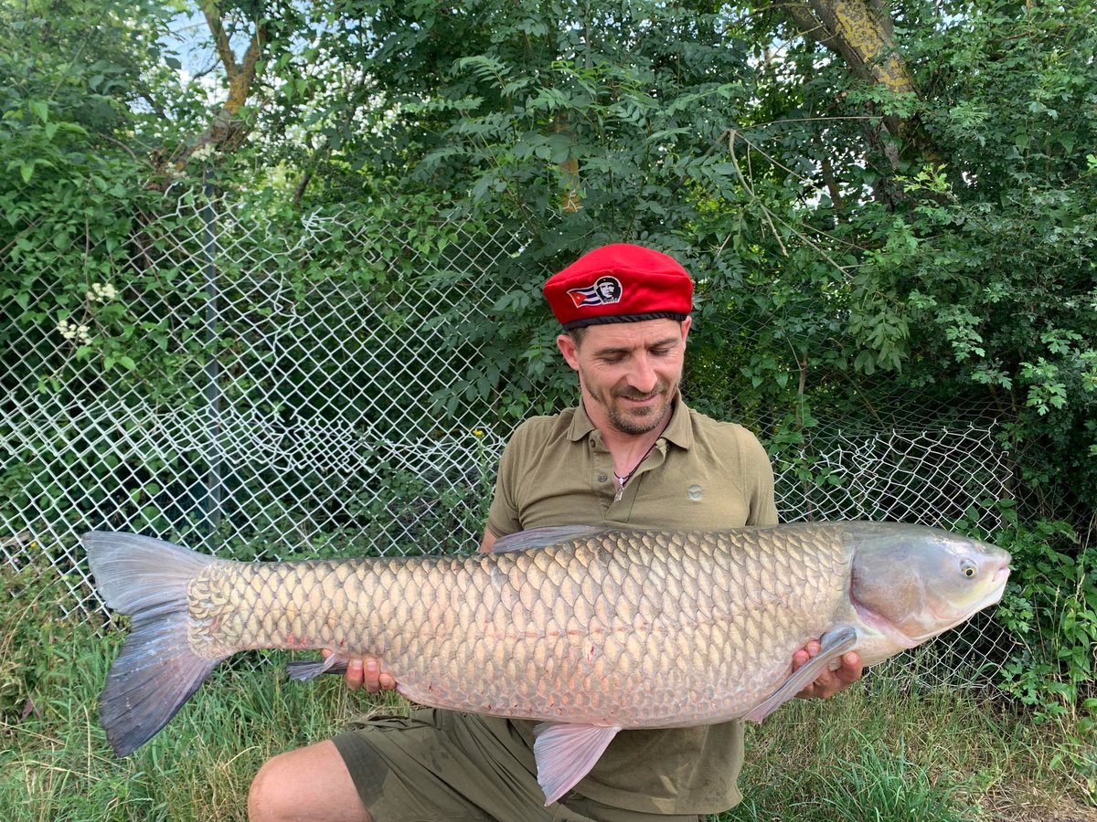 HindersFishing's tweet photo. Two weeks ago I was in France for 3 nights, i have caught some nice fish. I fished over a few jars of the Hinders Hemp and Maize, the simplest fishing I have ever done, fake corn as hook bait in one morning I had 5 fish in slings only using one rod.
Lapadat Eugen

#hemp #hinders https://t.co/TvS9yvyu3P