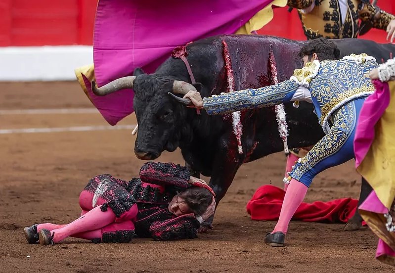gallardotoros's tweet photo. A @Cayetano_Rivera hay que sacarlo a saludar en la próxima corrida que toree.
Gloria a los TOREROS.
Foto: David S. Bustamante https://t.co/5TS0mEIHT7