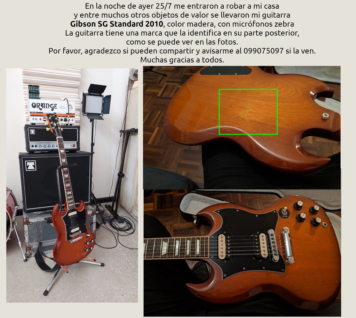 Ayer entraron a mi casa y se robaron mi guitarra. Agradezco si están atentos y pueden compartir