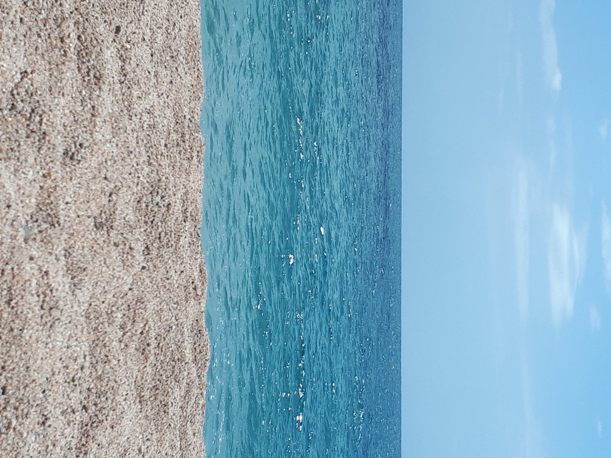 SnorterToken_US's tweet image. 🚩✊
#FunWithFlags