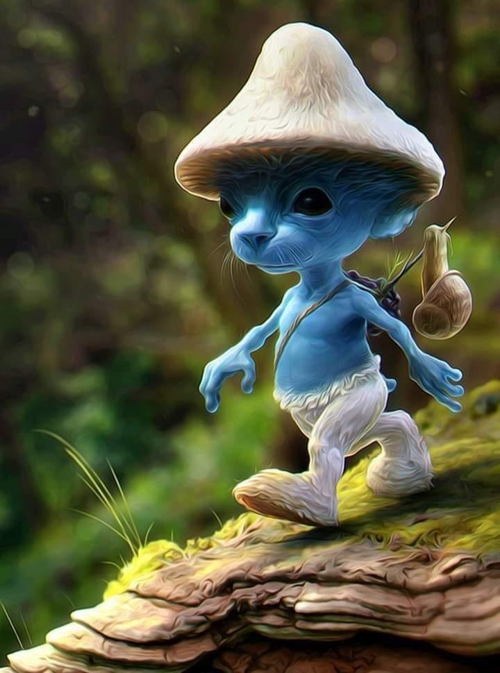 ChapoDoChong's tweet image. Anos de maconha boa pra quem reagir ao doende da paz