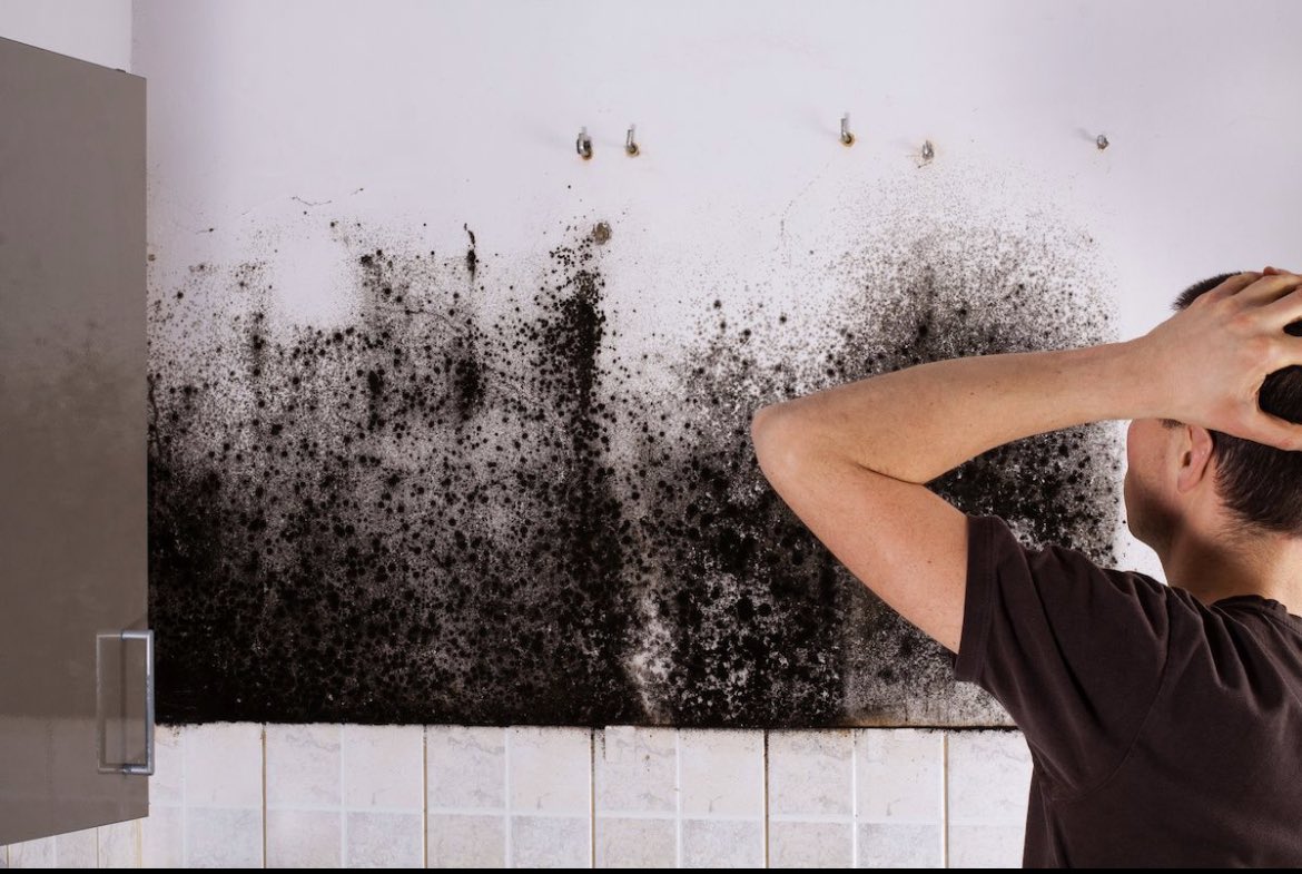PuroClean_TC's tweet photo. A safe home environment is a healthy one! When mould is around, your health and property are at risk. 

For immediate mould removal services, please don't hesitate to contact our experts!

#HealthyHome #MouldRemoval #HomeMaintenance #SafeLiving https://t.co/ongC7D4LNU