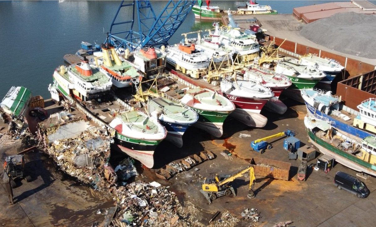 Mirjam152 tweet media