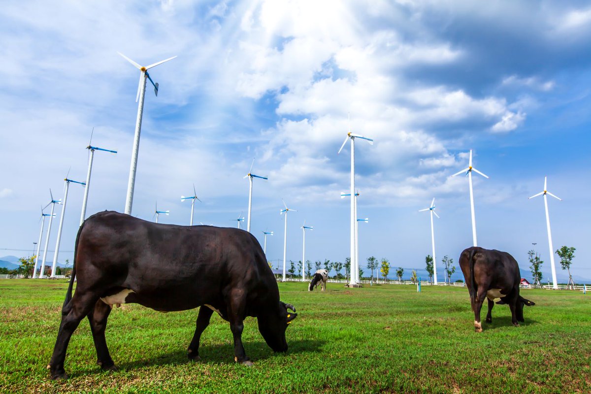 Sustainable dairy farming is crucial for #foodsecurity and environmental preservation.

Did you know that efficiency improvements mean that producing a glass of milk now results in 11% less greenhouse gas emission?

#WorldMilkDay #PathwaysToDairyNetZero
