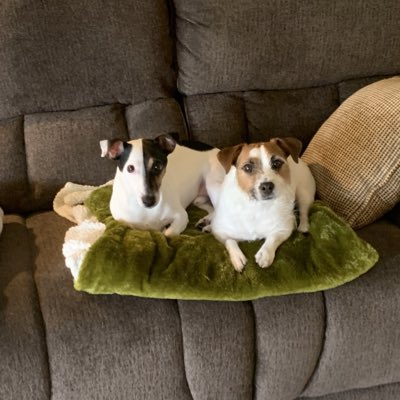 repickym's tweet photo. #NewProfilePic https://t.co/Bf4jdZNvsb