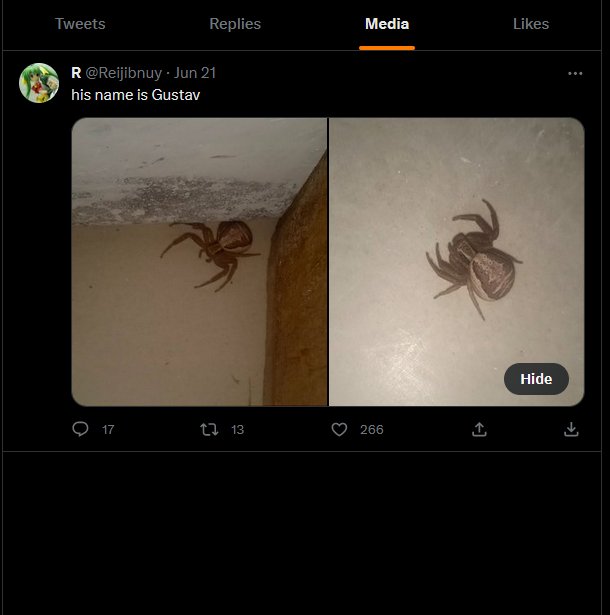 IHateFallGuys's tweet photo. an artist i like deleted all their art and this is the only thing on their media tab now https://t.co/Es8KNvBSH4