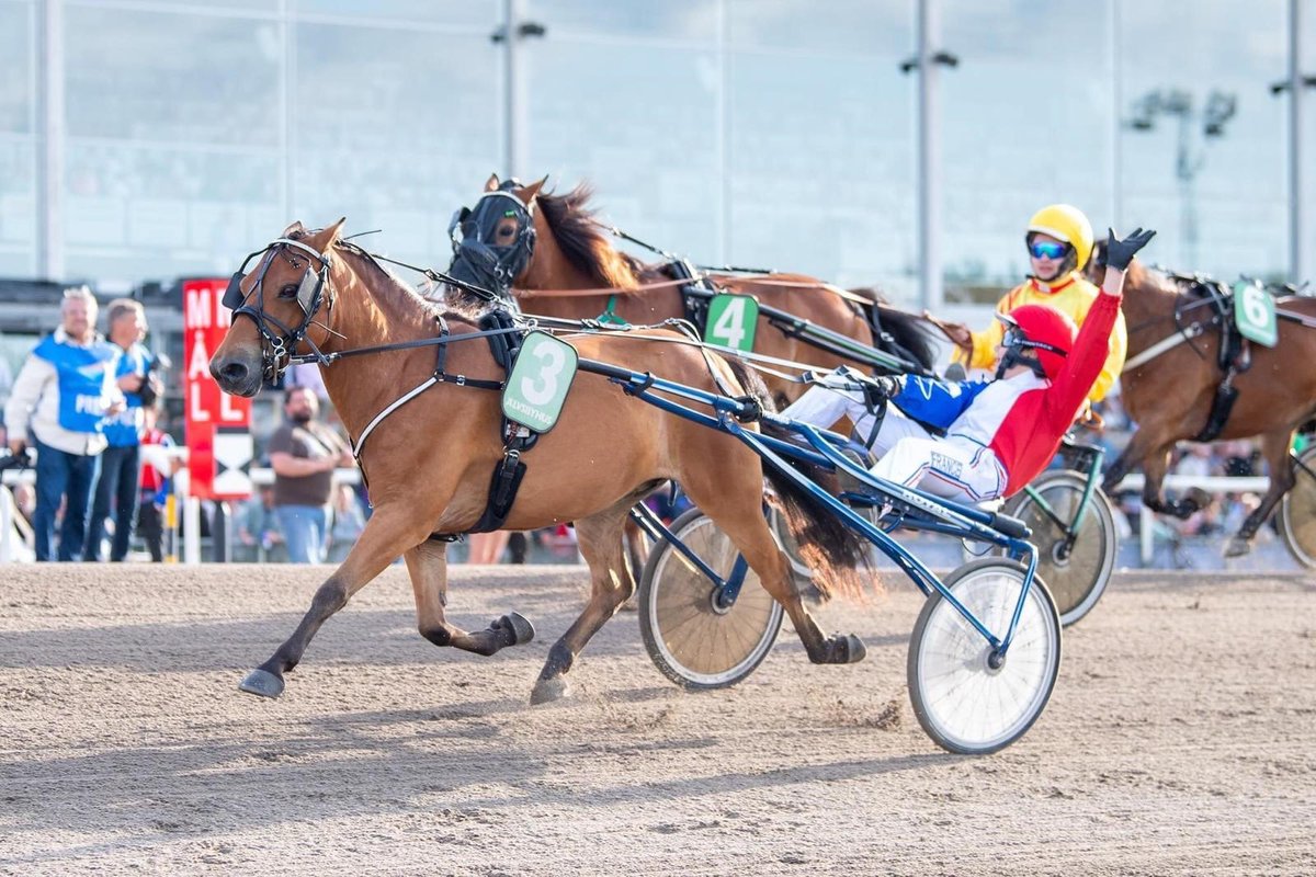 Paris_Turf's tweet photo. Mardi soir, à Jägersro, à l’issue des deux manches de la World Summer Cup du trot à poneys, la France représentée par Axel Fossard et Cléo Lallemand a viré en tête du championnat 🔥💪🏻
RDV le 26 août à Cagnes-sur-Mer pour la finale 🤩 👉🏻 https://t.co/yRG4aJRycc https://t.co/C4jlra5Cut