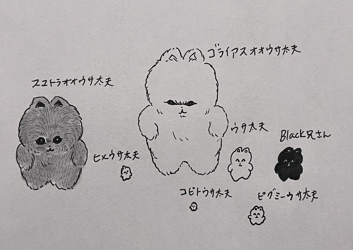 定期 