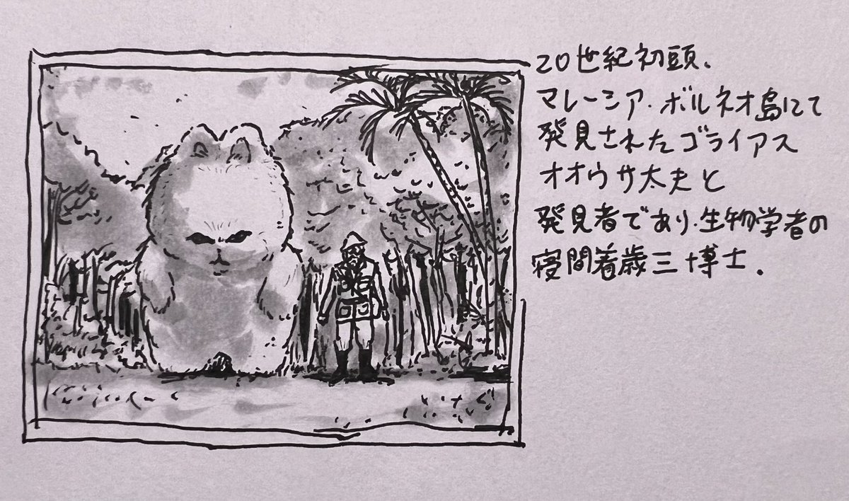 定期 
