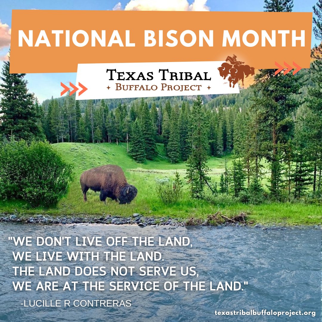 "Giving is not just about making a donation. It is about making a difference." — Kathy Calvin. Please show us your support and contribute to the growth and raising awareness for the indigenous culture. Click the link in bio to donate