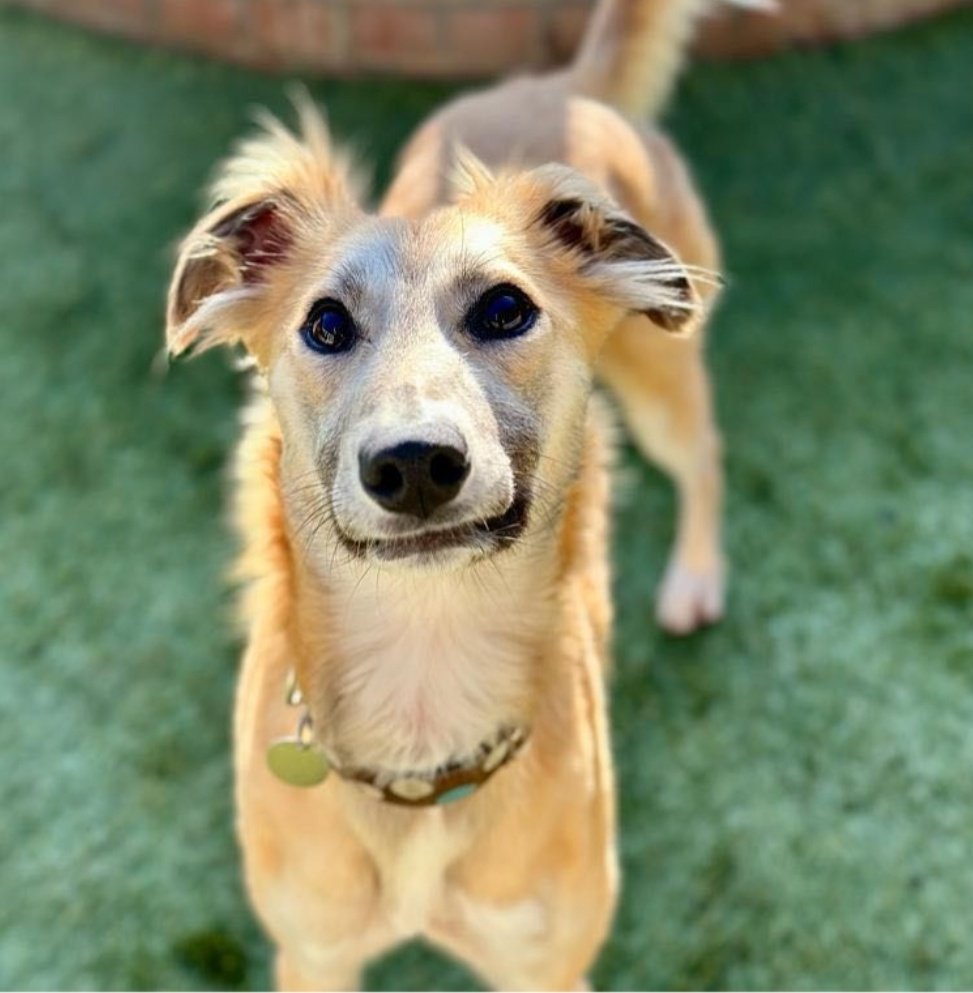 Jenny Grant tweet media