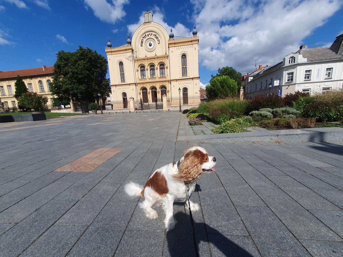 Walkies in Pecs, longer one for Henry this afternoon as the temperature isnt too hot for him... First up the 2 main squares and the fog fountain.. #pecs #Hungary #travelblogger