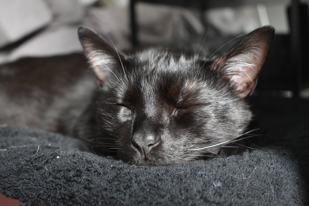 Jasper_ow tweet media