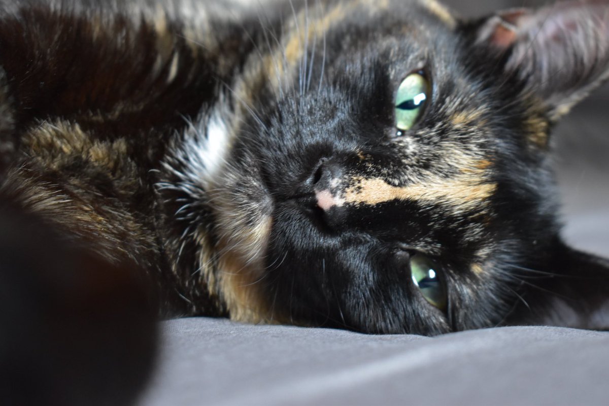 Jasper_ow tweet media