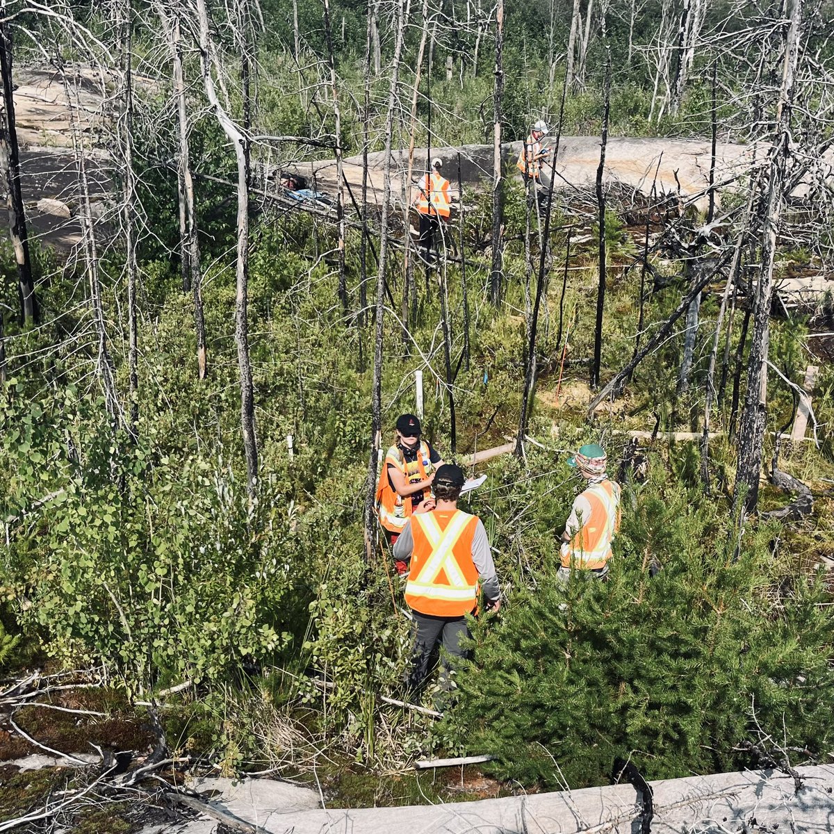 Mike Waddington tweet media