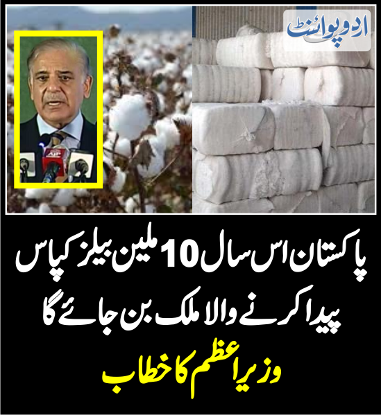 DailyUrduPoint's tweet photo. پاکستان اس سال 10ملین بیلز کپاس پیداکرنے والا ملک بن جائے گا
https://t.co/0RXTXESCkh
@CMShehbaz #cotton #cottonbales
#pakistaneconomy #recoverypakistan
#cottonproduction https://t.co/Bo0sGF867b