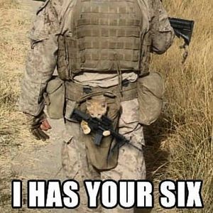 reichames's tweet photo. @lewnabun Kitty military to the rescue! Will save u from the sick! https://t.co/tfJ3nknceS