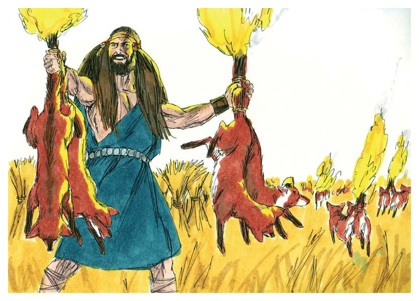 The American Bystander tweet media