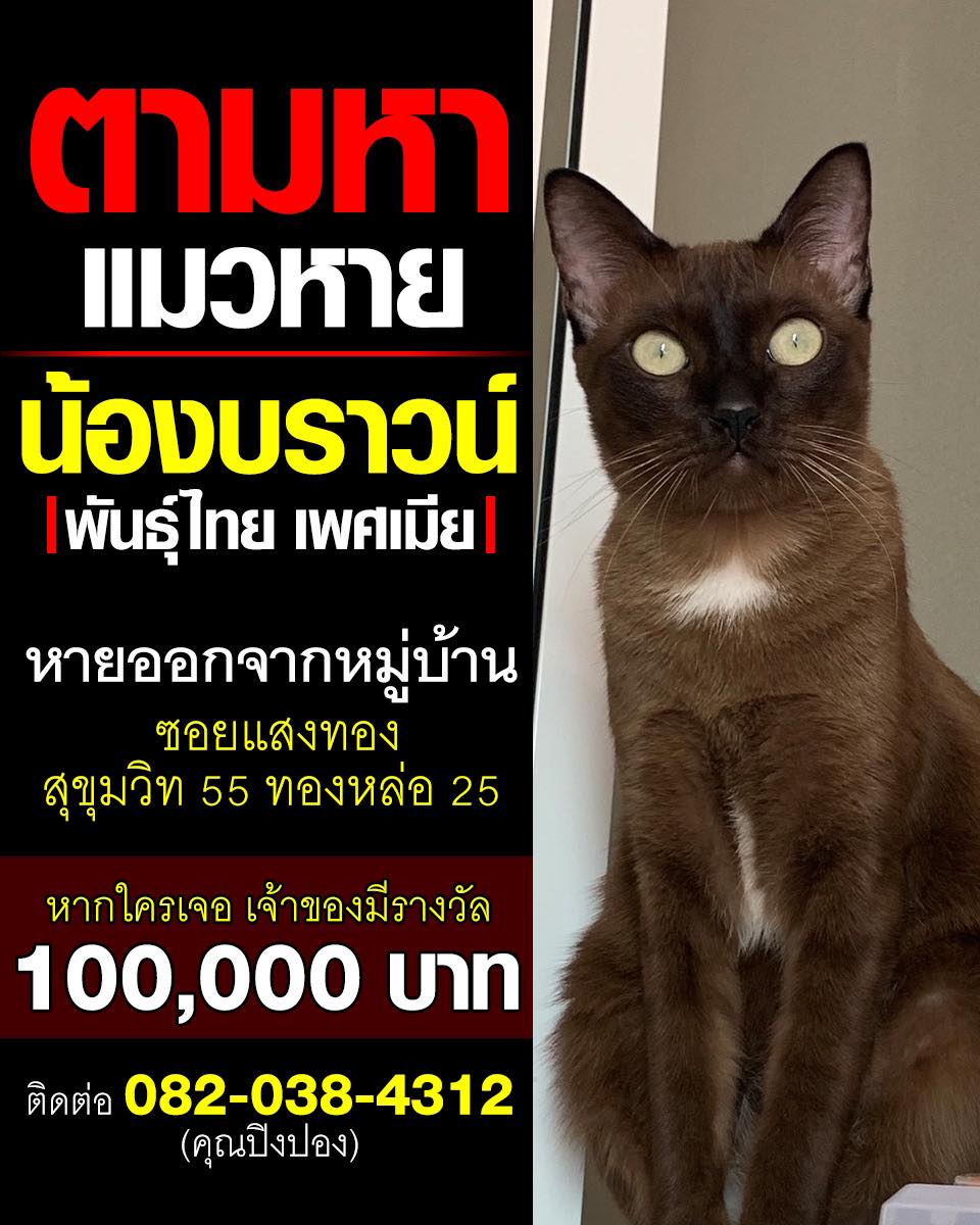 อีจัน tweet media