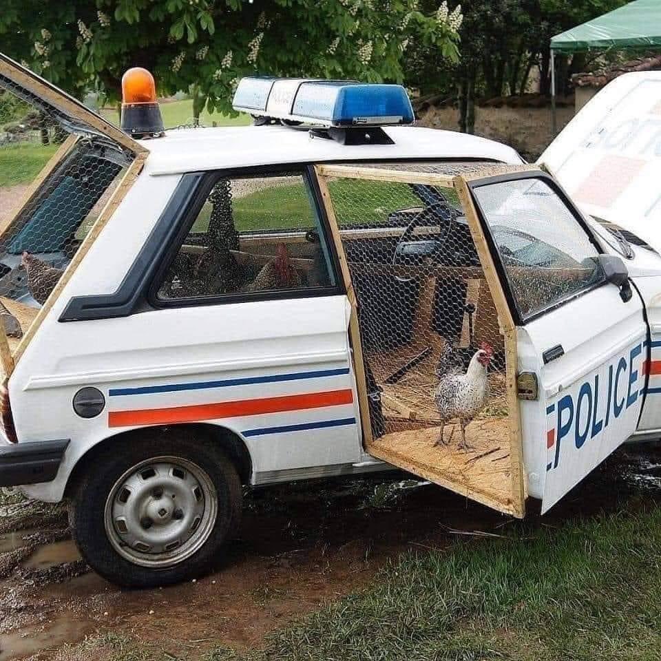 BugattiNoukies's tweet photo. @ActuFDO Ça va les chouinneuse 😂 #Policiers #Corruption #Ripou #BravM #Fdo #Marseille #Nanterre https://t.co/HPNP1N92Pt