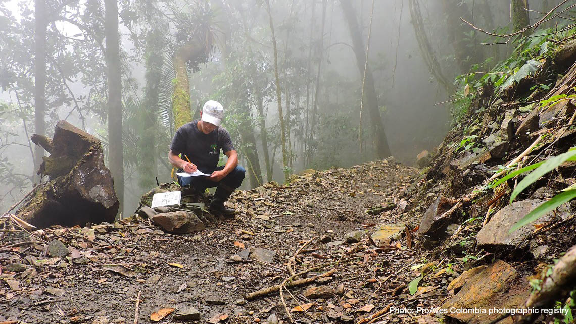 IUCN (@iucn) on Twitter photo Nine rangers and ranger teams have received the 2023 @IUCN_WCPA International Ranger Awards. 
💚 The awards recognise the outstanding work of protected areas rangers around the world.
See all the winners here 👉 bit.ly/3Dt68Ki Nine rangers and ranger teams have received the 2023 @IUCN_WCPA International Ranger Awards. 
💚 The awards recognise the outstanding work of protected areas rangers around the world.
See all the winners here 👉 bit.ly/3Dt68Ki