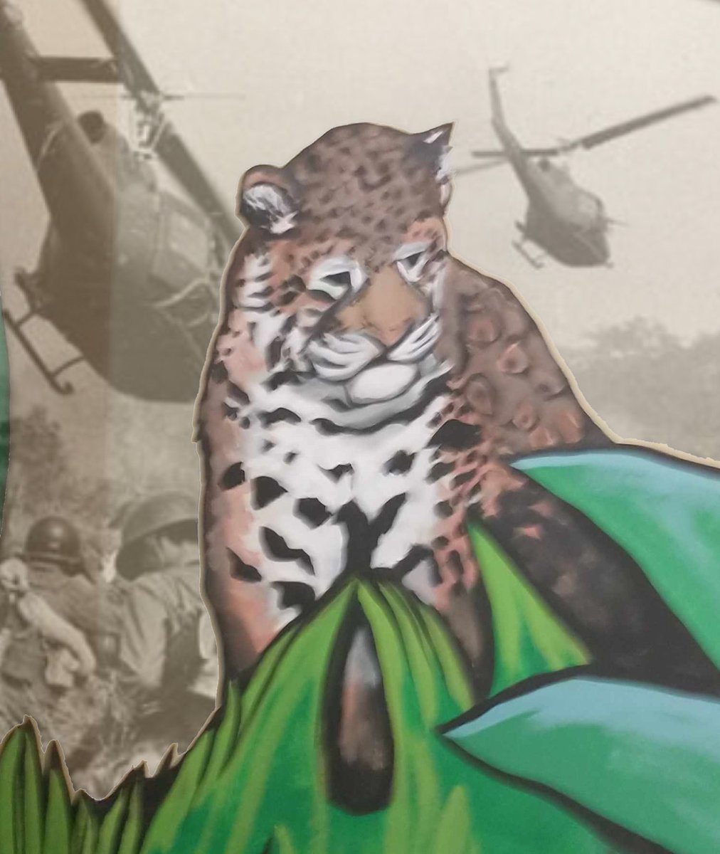 I saw this derpy looking jaguar painting in public the other day and was like "damn he's seen some shit" so I made this edit.