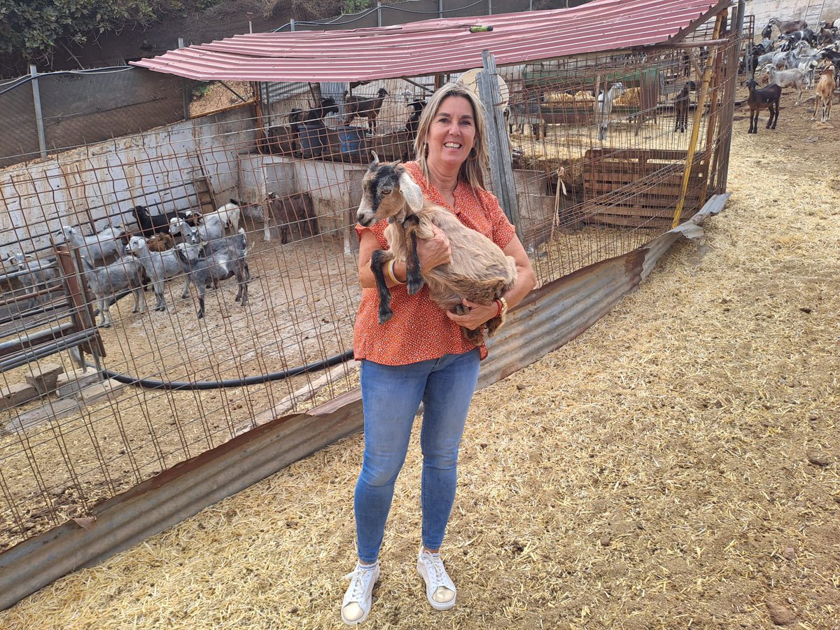 Hay días que me siento bendecida, una inmensa alegría volver a la ganadería de Marta Mateo. Dando apoyo y trasladando las políticas que llevaremos acabo para mejorar y ayudar al sector ganadero en #Telde. 
#SaboreaTeldela 
#MujerRural 
#Km0