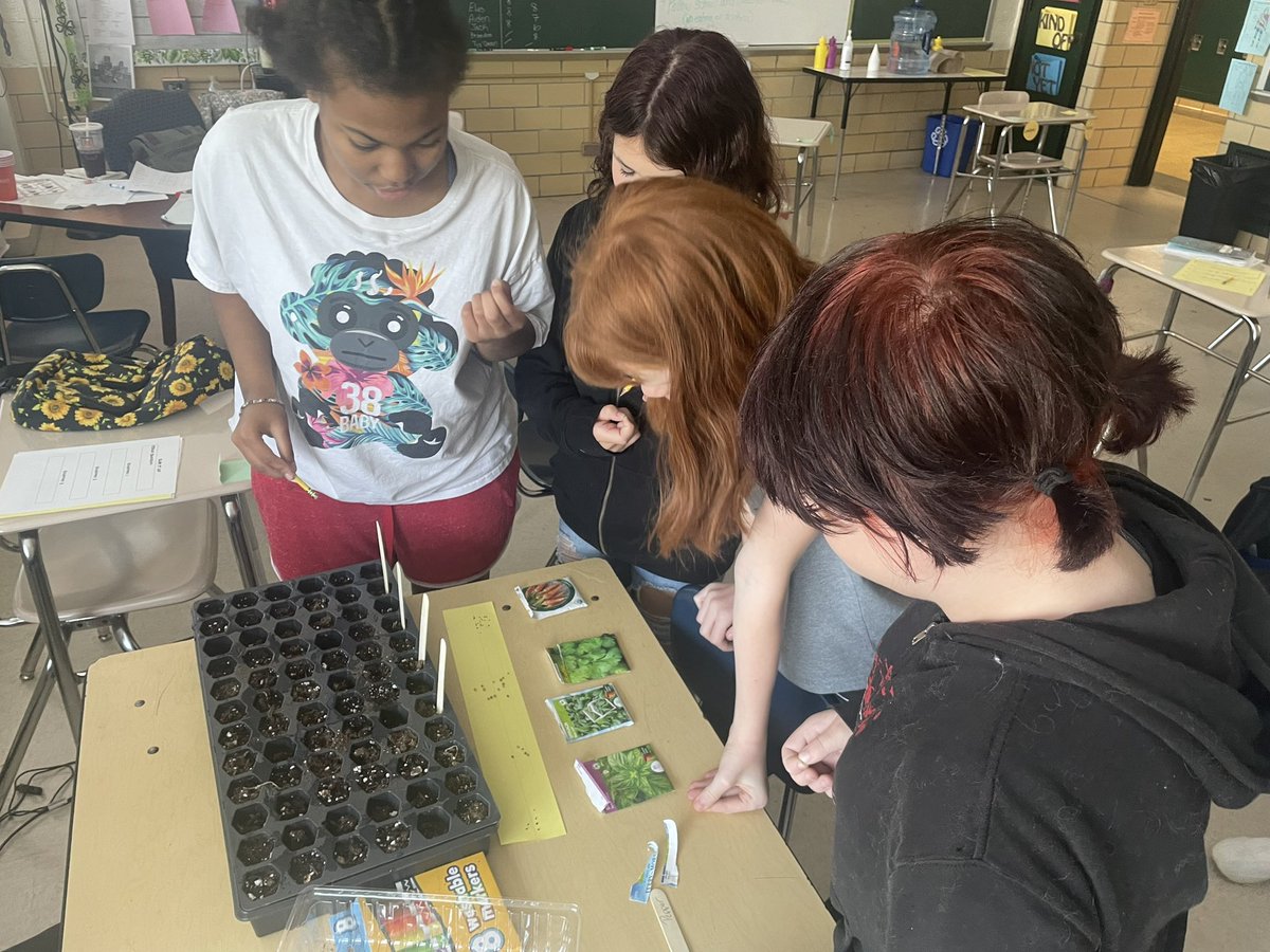 winterblessing's tweet photo. My students planting their own seeds after Reading Seeds and Sunflowers @StemmersRunMS https://t.co/QTppMtez75