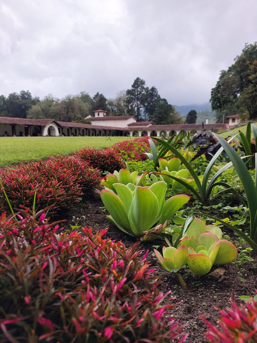 lorenacalavera's tweet photo. Una captura desde la Casa de Retiro San Javier del Valle, Mérida 🌱 https://t.co/l76I56annx