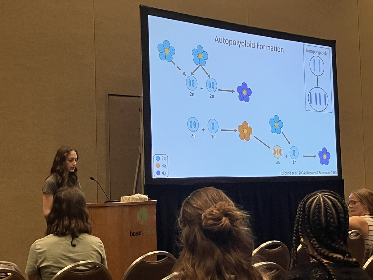 Robert Laport (@robertlaport) on Twitter photo Busy day of polyploidy! @E_HerschGreen <a href="/Plant_Phillips/">Alyssa Phillips</a> and <a href="/ShellyGaynor/">Shelly Gaynor</a> lead off a great colloquium! #Botany2023 Busy day of polyploidy! @E_HerschGreen <a href="/Plant_Phillips/">Alyssa Phillips</a> and <a href="/ShellyGaynor/">Shelly Gaynor</a> lead off a great colloquium! #Botany2023