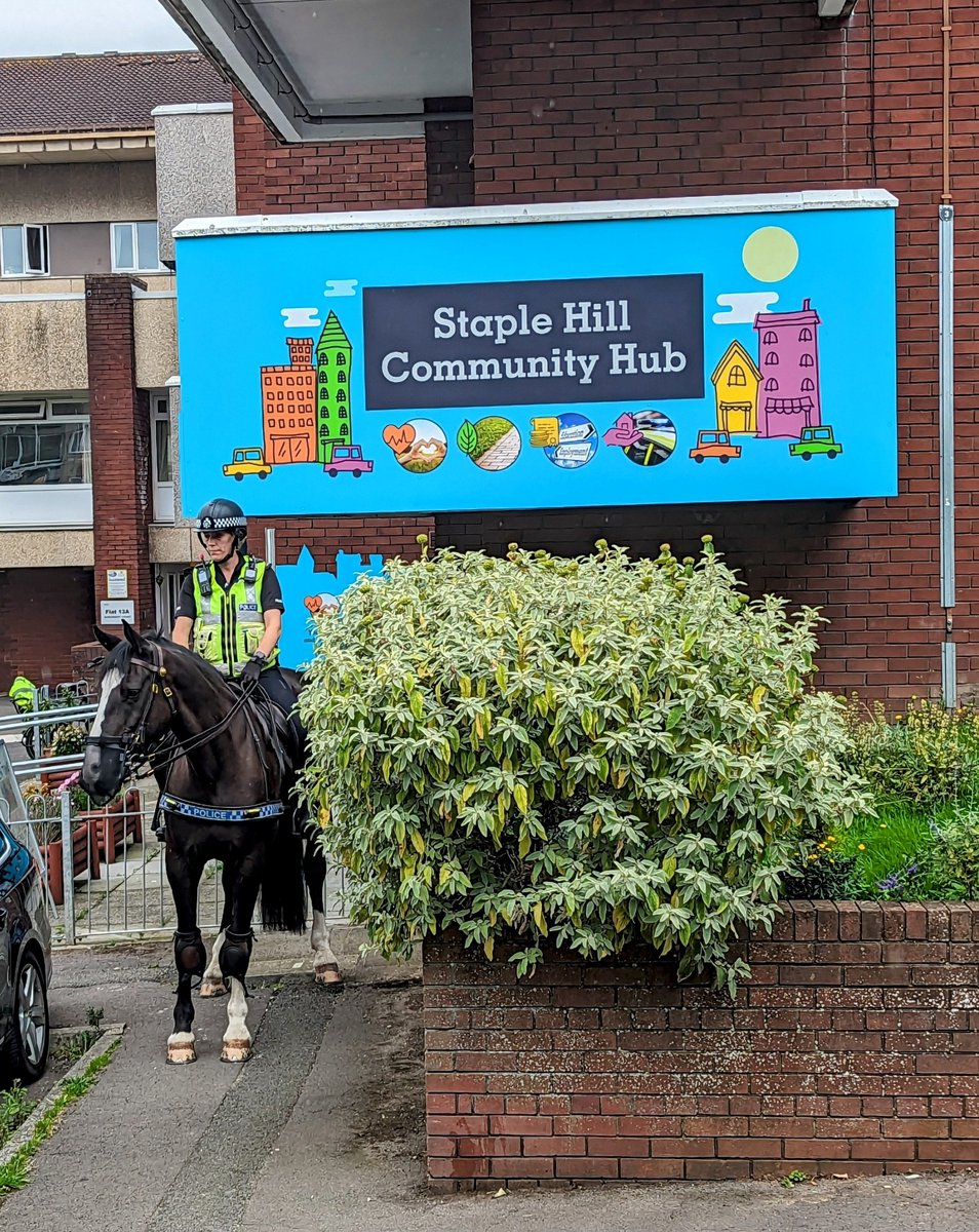 Blaise and Sandford have been patrolling in Staple Hill today 🐴🐴 #handsomeboyblaise #communitypatrols