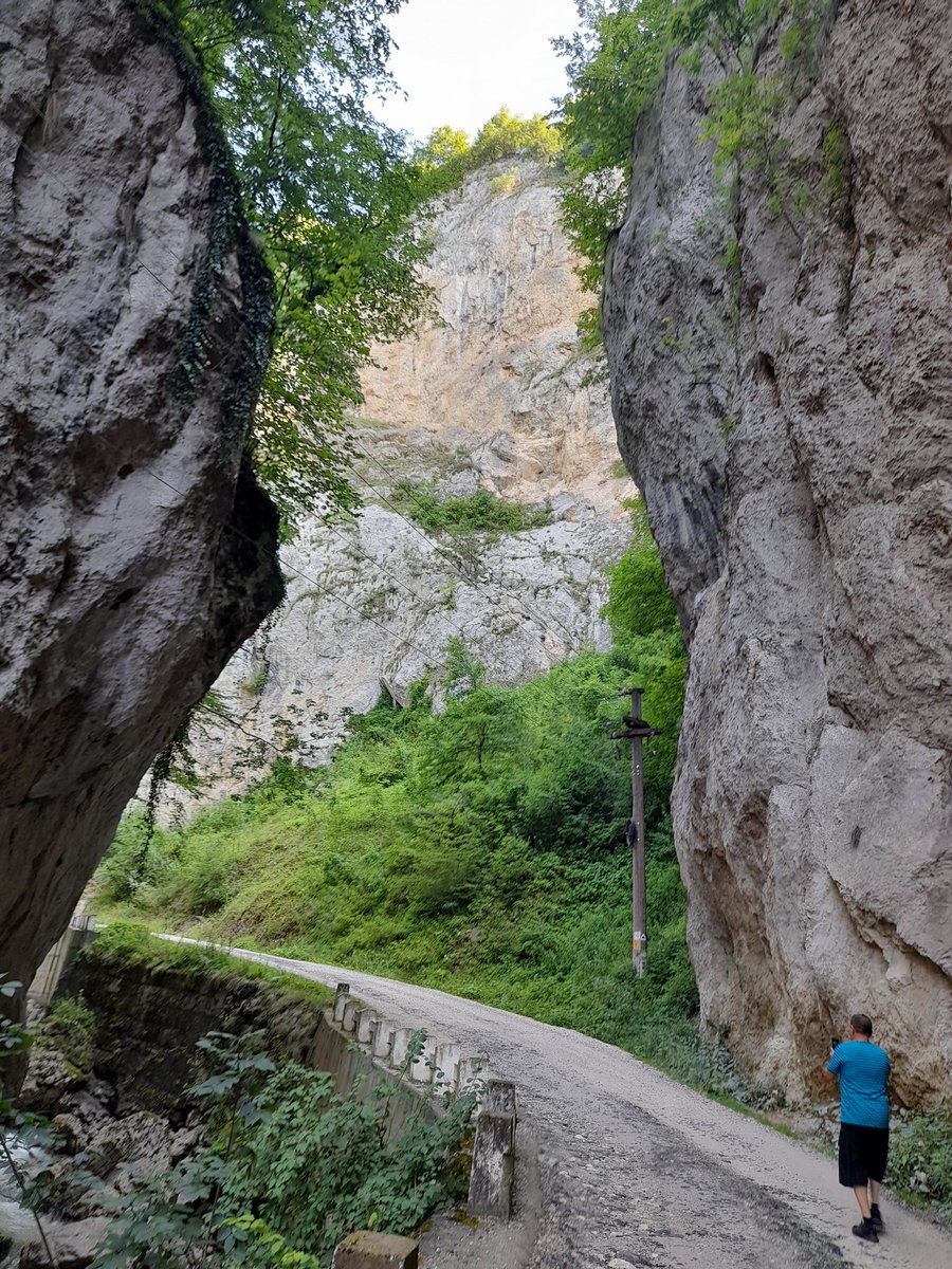 CClementa's tweet image. Cheile Bistriței
#Romania